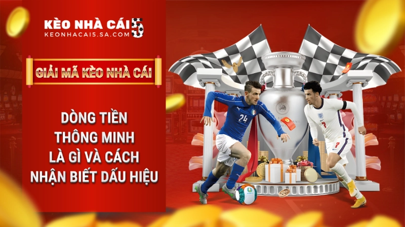 Dòng tiền thông minh là gì và cách nhận biết dấu hiệu